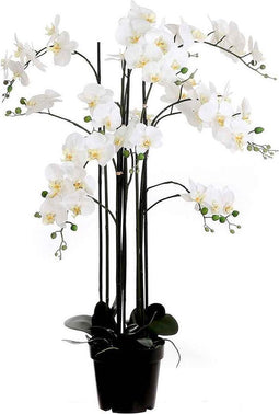 Mica Decorations orchidee in plastic pot creme maat in cm: 35x35x117