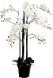 Mica Decorations orchidee in plastic pot creme maat in cm: 35x35x117