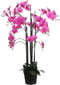 Mica Decorations orchidee in plastic pot paars maat in cm: 35x35x117