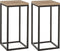 Mica Decorations Oskar Plantentafel - L30 x B30 x H62 cm - Hout, Metaal - Zwart