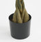 Mica Decorations Pachira Kunstplant - H120 x Ø50 cm - Groen