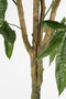 Mica Decorations Pachira Kunstplant - H120 x Ø50 cm - Groen