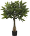 Mica Decorations Pachira Kunstplant - H60 x Ø60 cm - Groen