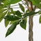 Mica Decorations Pachira Kunstplant - H60 x Ø60 cm - Groen