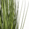 Mica Decorations Papyrus Kunstplant - H140-145 x Ø19,5 cm - Groen
