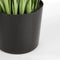 Mica Decorations Papyrus Kunstplant - H140-145 x Ø19,5 cm - Groen