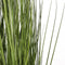 Mica Decorations Papyrus Kunstplant - H76 x Ø12,5 cm - Groen