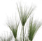 Mica Decorations Papyrus Kunstplant - H76 x Ø12,5 cm - Groen