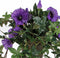 Mica Decorations Petunia Kunst Hangplant in Bloempot Stan - L25 x B45 x H50 cm - Donkerpaars