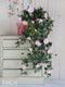 Mica Decorations Petunia Kunst Hangplant - L15 x B20 x H80 cm - Roze