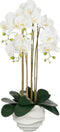 MICA DECORATIONS PHALAENOPSIS IN POT WIT - L40XB34XH82CM-Orchide wit