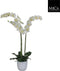 Mica Decorations Phalaenopsis Kunstplant in Bloempot Tusca - H100 x Ø53 cm - Wit