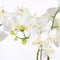 Mica Decorations Phalaenopsis Kunstplant in Bloempot Tusca - H100 x Ø53 cm - Wit