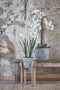 Mica Decorations Phalaenopsis Kunstplant in Bloempot Tusca - H100 x Ø53 cm - Wit