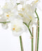 Mica Decorations Phalaenopsis Kunstplant in Bloempot Tusca - H100 x Ø53 cm - Wit