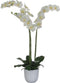 Mica Decorations Phalaenopsis Kunstplant in Bloempot Tusca - H100 x Ø53 cm - Wit
