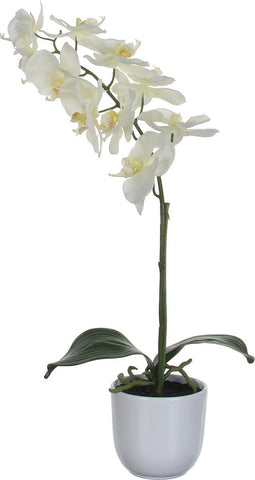 Mica Decorations Phalaenopsis Kunstplant in Bloempot Tusca - H60 x Ø16 cm - Wit