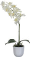 Mica Decorations Phalaenopsis Kunstplant in Bloempot Tusca - H60 x Ø16 cm - Wit