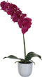 Mica Decorations Phalaenopsis Kunstplant in Bloempot Tusca - H60 x Ø16 cm - Paars