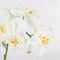 Mica Decorations Phalaenopsis Kunstplant in Bloempot Tusca - H60 x Ø16 cm - Wit
