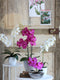Mica Decorations Phalaenopsis Kunstplant in Bloempot Tusca - H60 x Ø16 cm - Wit