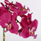 Mica Decorations Phalaenopsis Kunstplant in Bloempot Tusca - H60 x Ø16 cm - Paars