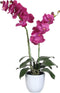 Mica Decorations Phalaenopsis Kunstplant in Bloempot Tusca - H66 x Ø38 cm - Paars