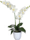 Mica Decorations Phalaenopsis Kunstplant in Bloempot Tusca - H66 x Ø38 cm - Crème