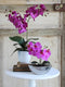 Mica Decorations Phalaenopsis Kunstplant in Bloempot Tusca - H66 x Ø38 cm - Paars