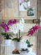 Mica Decorations Phalaenopsis Kunstplant in Bloempot Tusca - H66 x Ø38 cm - Paars