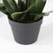 Mica Decorations Phalaenopsis Kunstplant - L75 x B51 x H79 cm - Wit