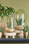 Mica Decorations Phil Vaas - 19x19x30 cm - Glas