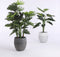 Mica Decorations Philodendron Kunstplant - H100x Ø70 cm - Groen
