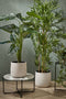 Mica Decorations Philodendron Kunstplant - H100x Ø70 cm - Groen