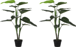 Mica Decorations Philodendron Kunstplant - H100xØ70 cm - Set van 2