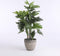Mica Decorations Philodendron Kunstplant - H120 x Ø80 cm - Groen