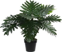 Mica Decorations Philodendron Kunstplant - H60 x Ø80 cm - Groen