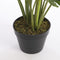 Mica Decorations Philodendron Kunstplant - H60 x Ø80 cm - Groen