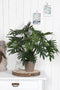 Mica Decorations Philodendron Kunstplant - H60 x Ø80 cm - Groen