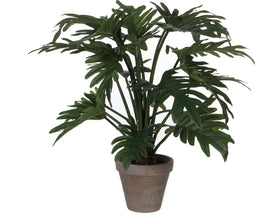 Mica Decorations Philodendron Selloum Kunstplant in Bloempot - H50 x Ø60 cm - Groen