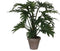 Mica Decorations Philodendron Selloum Kunstplant in Bloempot - H50 x Ø60 cm - Groen