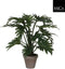 Mica Decorations Philodendron Selloum Kunstplant in Bloempot - H50 x Ø60 cm - Groen