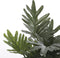 Mica Decorations Philodendron Selloum Kunstplant in Bloempot - H50 x Ø60 cm - Groen
