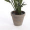 Mica Decorations Philodendron Selloum Kunstplant in Bloempot - H50 x Ø60 cm - Groen