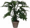 Mica Decorations Philodendron Selloum Kunstplant in Bloempot - H50 x Ø60 cm - Groen