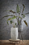 Mica Decorations Pia Boomstam Bijzettafel - H14 x Ø40 cm - Lichtbruin