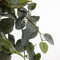 Mica Decorations Pilea Kunst Hangplant - L20 x B30 x H70 cm - Groen