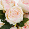 Mica Decorations Pioenroos Kunstbloemen Boeket - H55 x Ø40 cm - Lichtroze