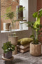 Mica Decorations - Plantenpot/bloempot - Keramiek donkerbruin - D24/H21 cm