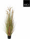 Mica Decorations Pluimgras Dogtail Kunstplant - H120 x Ø45 cm - Groen